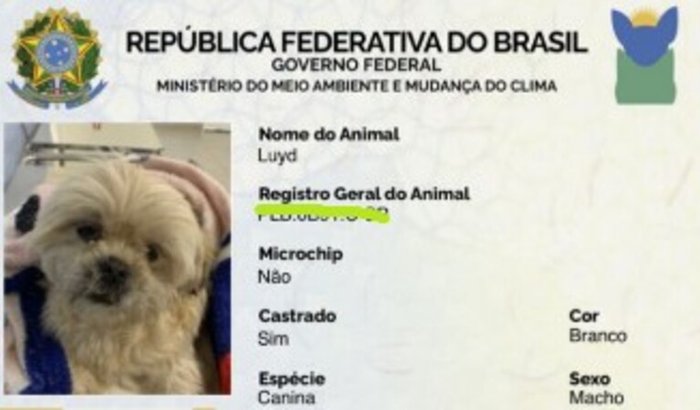 Ajude o Luyd a voltar a andar 🐶❤
