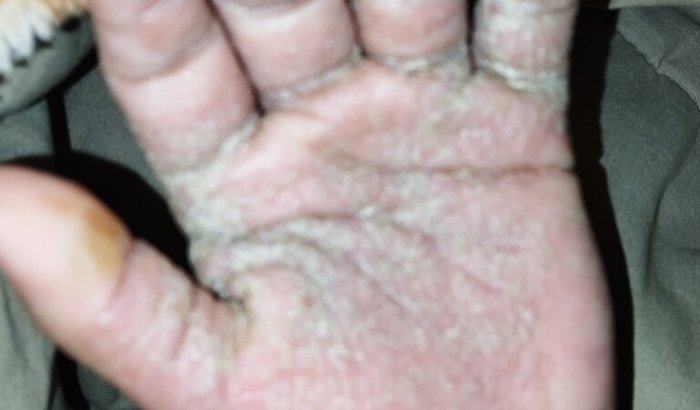 Giovanna valente souza