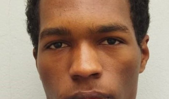 Ajude Alan a sorrir! 🦷😁