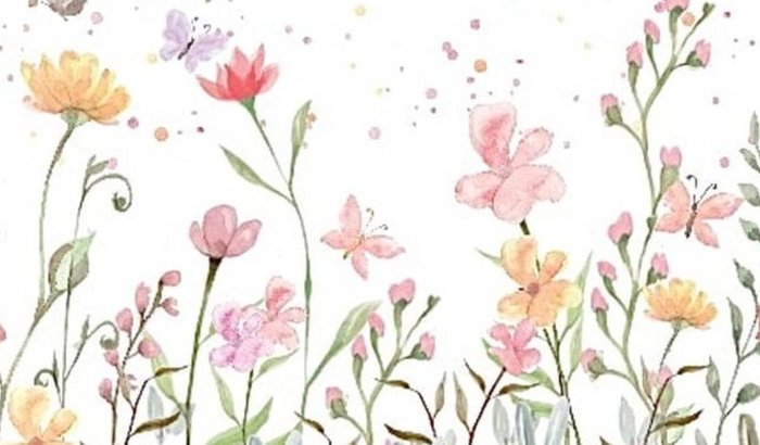 Vakinha Solidária da Juju