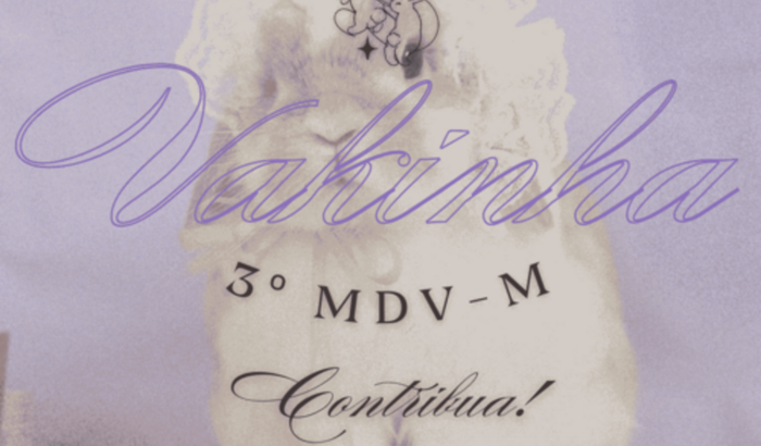 Moda com Propósito - Apoie Nosso TCC!