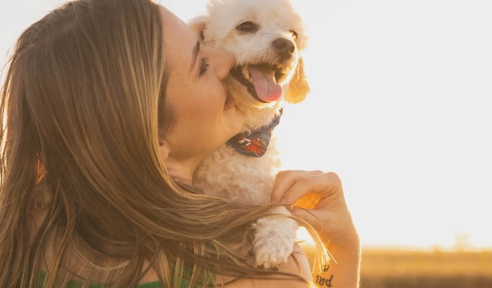 💔 Ajude o Bady – Cirurgia urgente na coluna