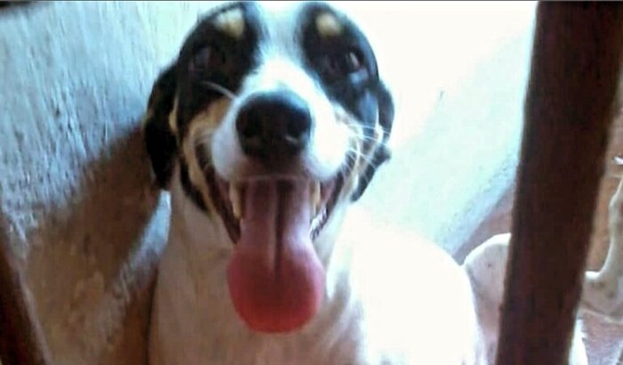 Ajude a Shakira no tratamento contra o câncer