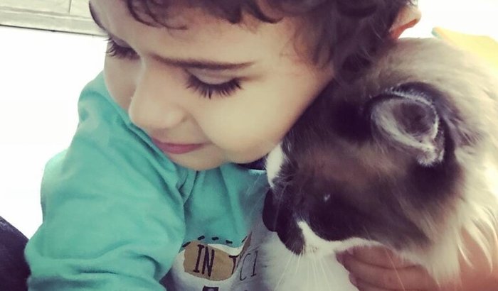 Resgate do Shiva🙏🏻