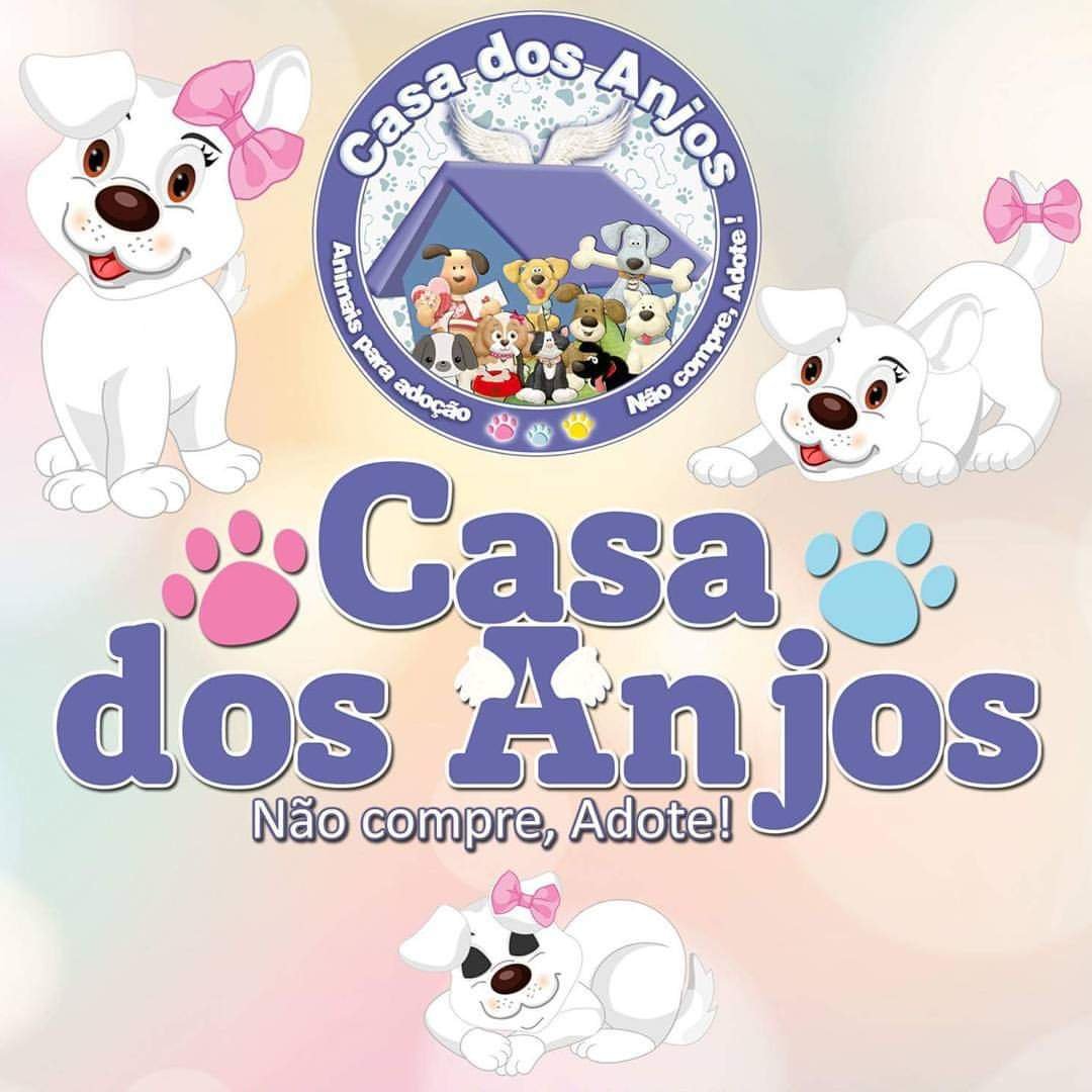 Castração animais carentes