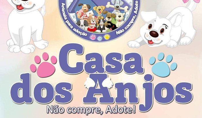 Castração animais carentes