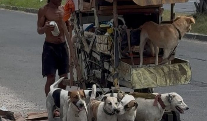 ROBERTO DOS CACHORROS