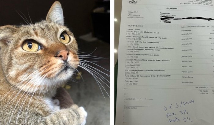 Um sopro de vida pro meu velhinho de 4 patas