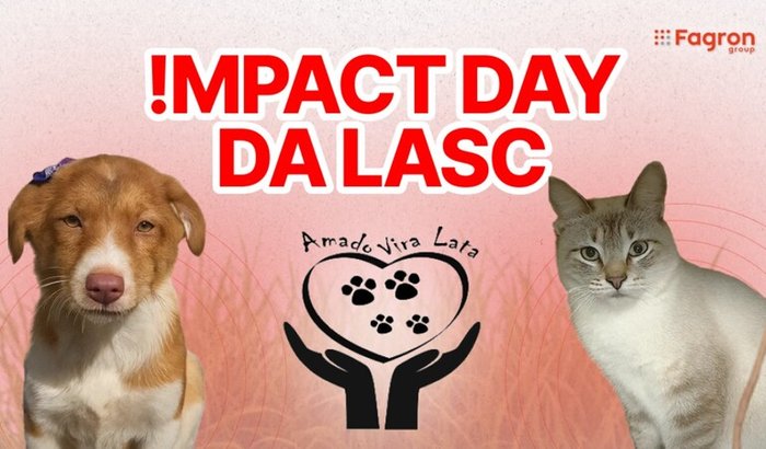 !mpact Day 2025 - Amado Vira Lata