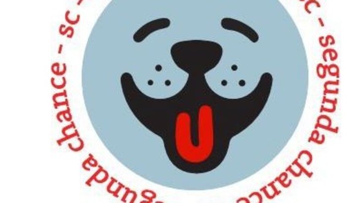 Resgate e castração de animais de rua