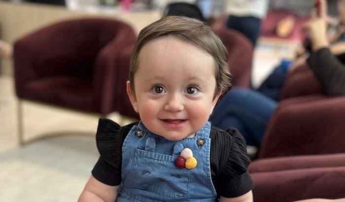 Primeiros Passos da Analice