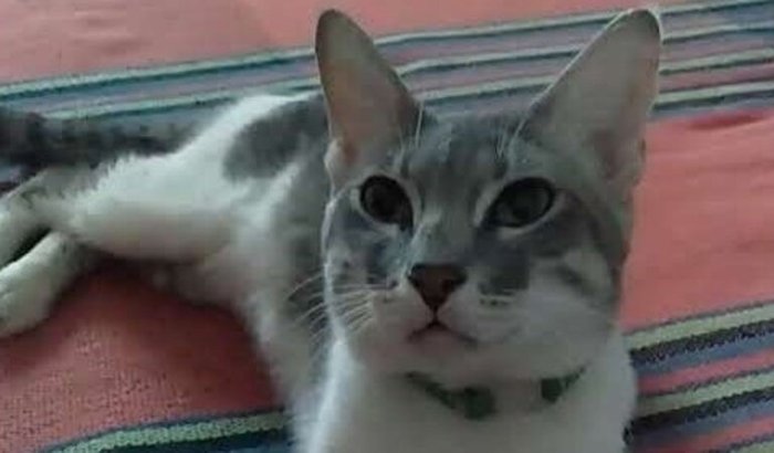 Todos juntos por Otávio