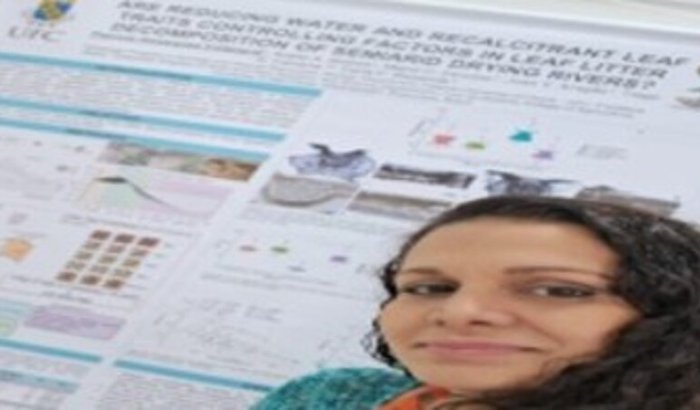 Apoio para concluir a revalidação do meu diploma de Bacharela
