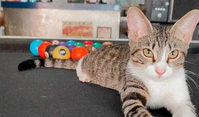 Reabertura Rock Bar do Anão