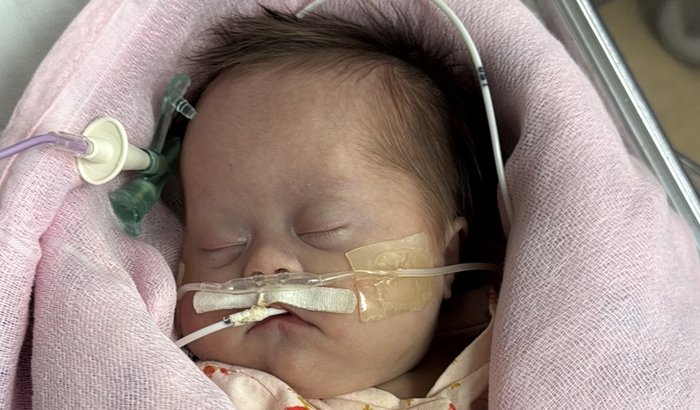 Despesas do hospital, tratamento e medicação para Heloísa