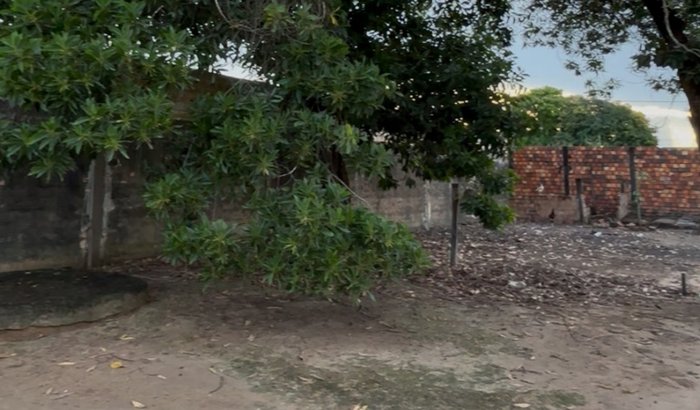 CONSTRUÇÃO DE ABRIGO PARA OS ANIMAIS