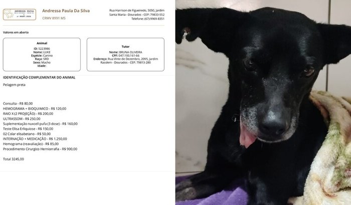 ⚠ AJUDE O LUKE ⚠