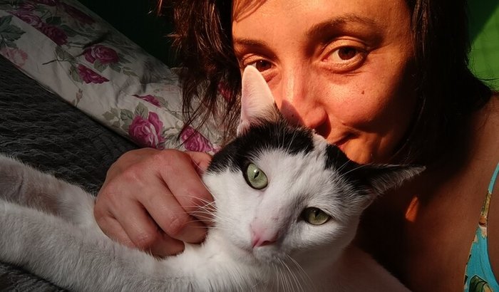 Me ajude a curar meu gato da PIF ♥️