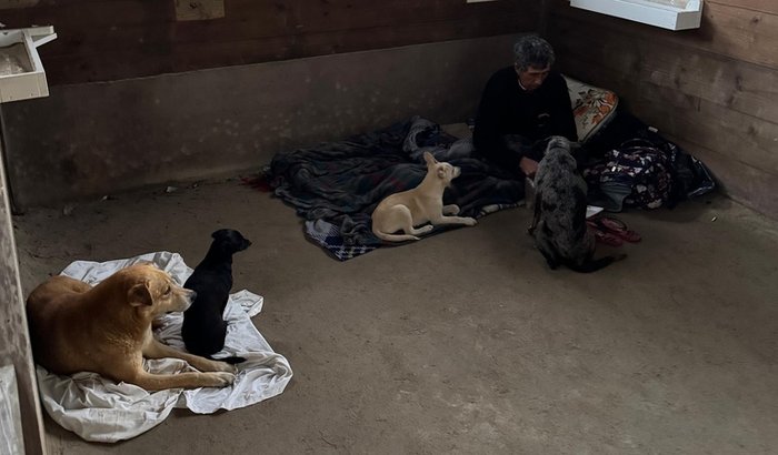 Ajuda para Régis e seus cães