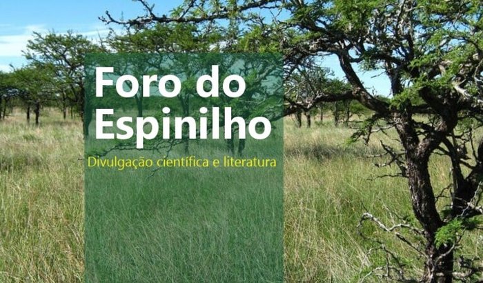 Foro do Espinilho
