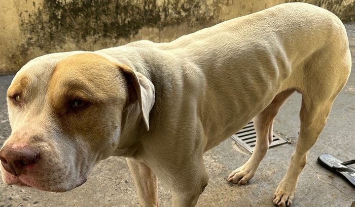 AJUDANDO O RALF 🐶♥️