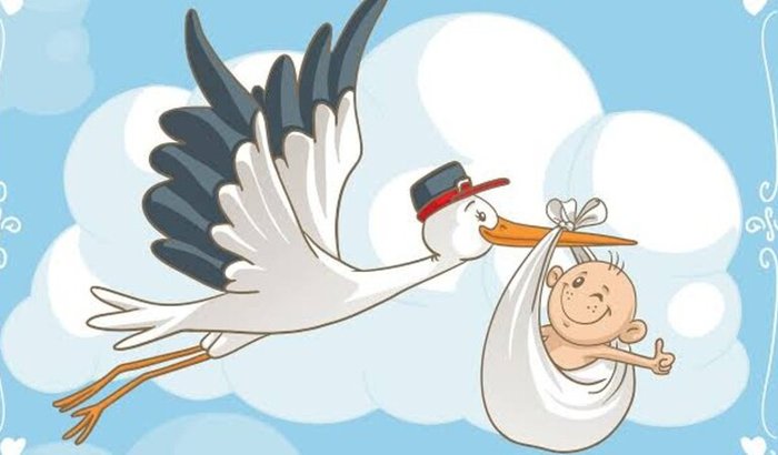 Chá Fraldas - Felipe Regis