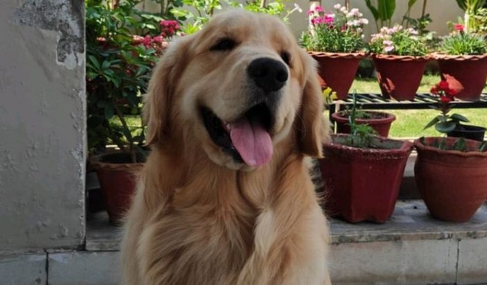 A Vida do Max em Suas Mãos