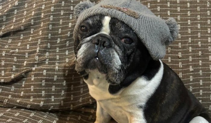 Salve o coraçãozinho do Noah!