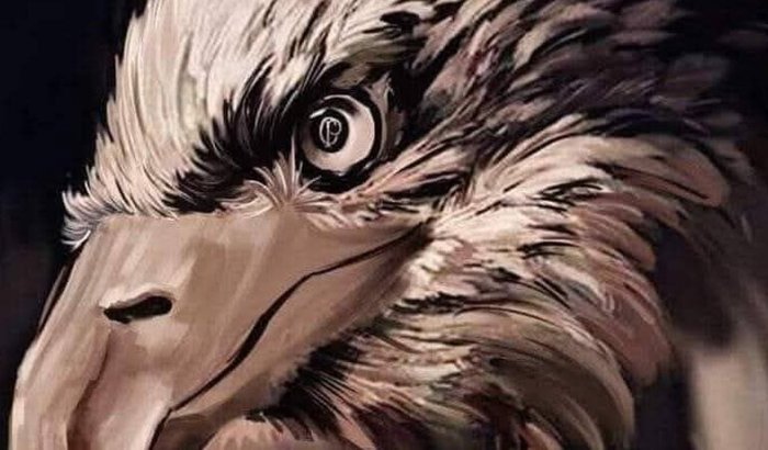 Projeto Gaviões da Fiel 12