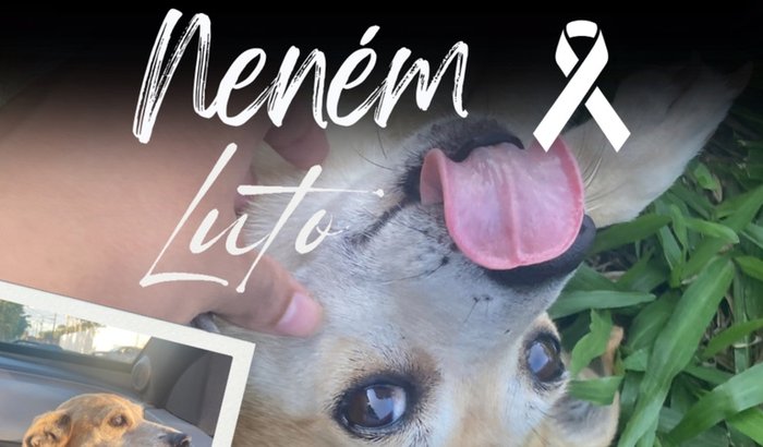 Ajude nós a pagar as contas da nossa anjinha 💔