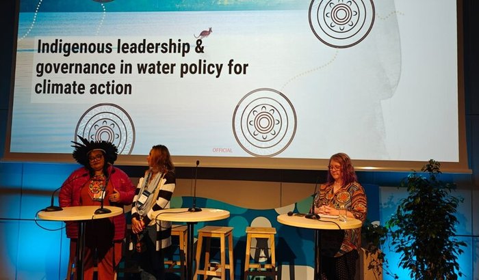 A FLORESTA ATLÂNTICA GRITA!