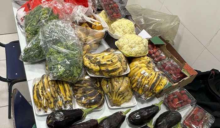 Freezer para Cozinha do Avalanche