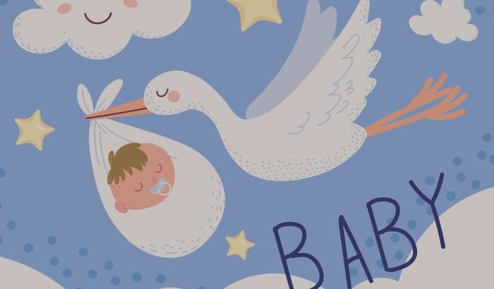 Chá de baby - Bebê do Ramon (Acqualina)