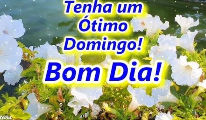 Ajuda para viajar e realizar sonho de vida