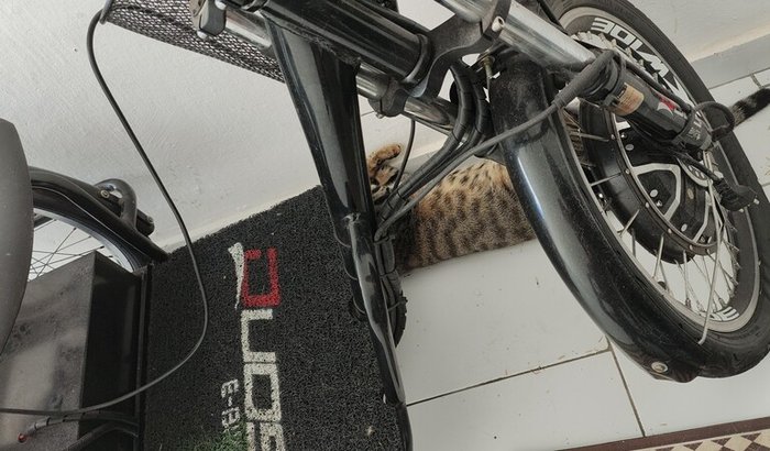 Triciclo Motorizado/Acessibilidade