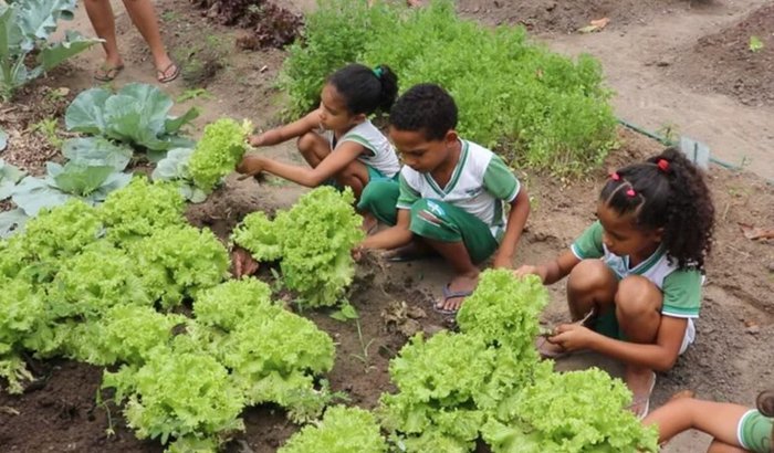 Ajude a Cultivar o Futuro dos Jovens do CICA