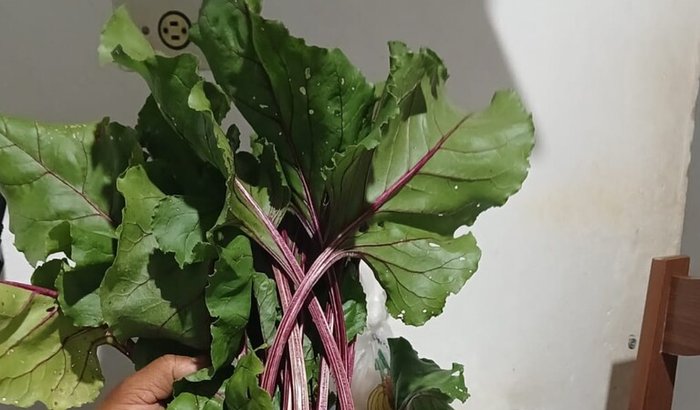 Dívidas com ajiota ameaçando de morte 