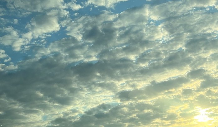 Ajuda para voltar pro meu país