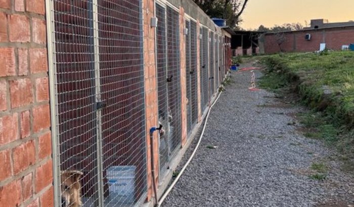 pagamento do terreno ❤️