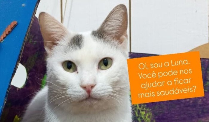 Vacinas Salvam Vidas!