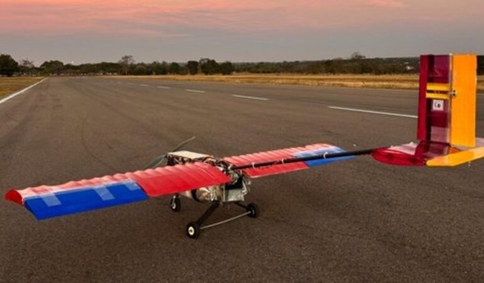 Ajude a Mamutes do cerrado a finalizar o projeto 2025