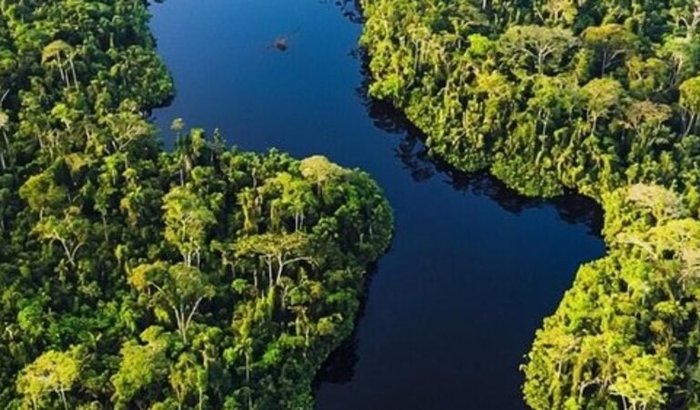 Missão Amazônia - Borba