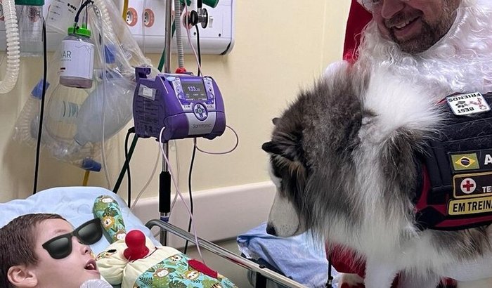 Ajude o Instituto Reddogs a Mudar Vidas com Cães de Assistência