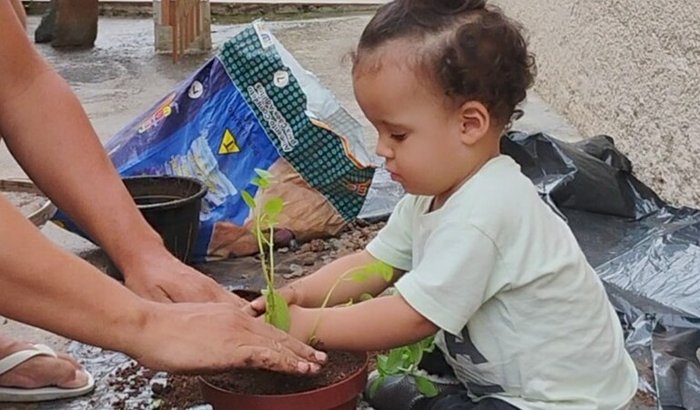 Alimento sem veneno/ apoie quem planta 