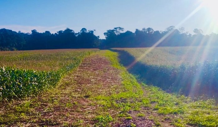 Primeiro passo para minha empresa