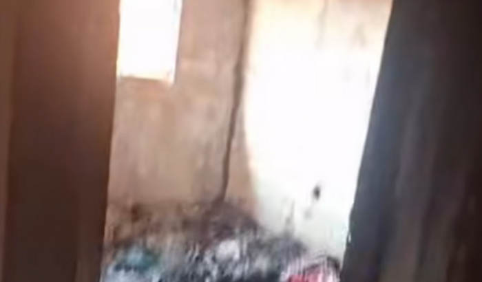 Ajuda para recuperar danos do incêndio 