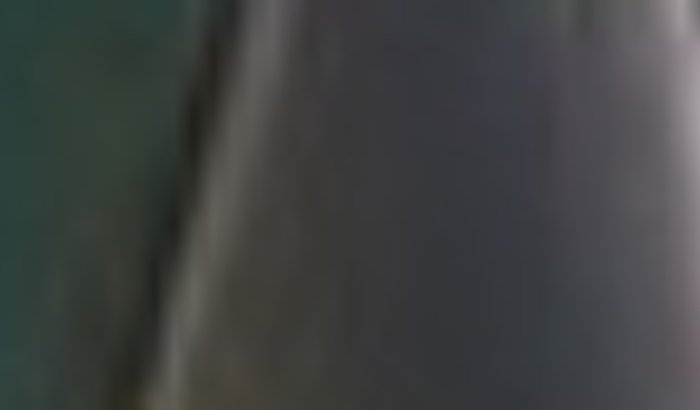 Celular novo pra Jocy