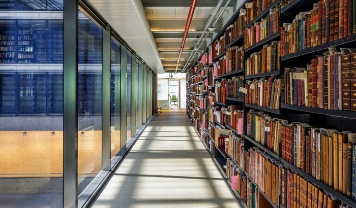 Ajuda para recuperar prejuízo de golpe