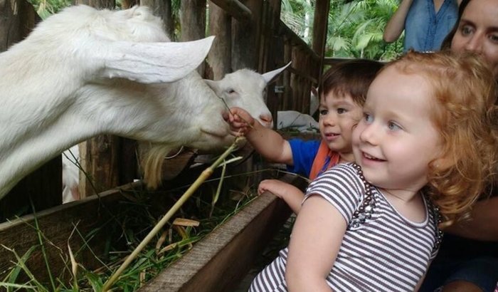 Ajude Sítio Terra Santa reerguer 