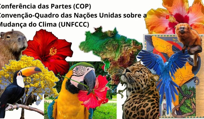 Passagem para a 30ª Conferência das Partes (COP)